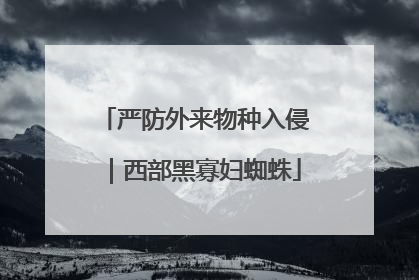 严防外来物种入侵｜西部黑寡妇蜘蛛
